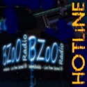 Bzoo Dance Radio Worldwide logo