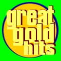 Greatgold Fm Internet Radio logo