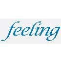 Feeling Fm 91 9 80s 90s logo