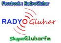 Gluhar Radio Dl Esko logo