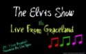 The Elvis Show logo