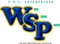 Wsp Radio The Lion logo