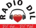 Radio Dil logo