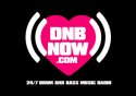 Dnb Now logo