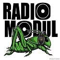 Radio Modul logo