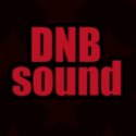 Dnbsound logo