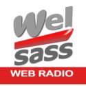 Welsass logo