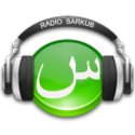 Radio Sarkub logo