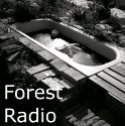 Delaforest Radio logo
