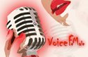 Voicefmgr logo