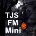Tjs Fm Mini logo