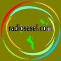 Radiosesel Com logo
