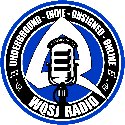 Qsj Radio logo