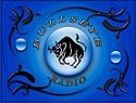 Bullseye Radio logo