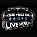Pure Vibez Fm logo