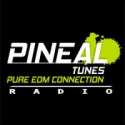Pineal Tunes Radio logo