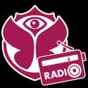 Tomorrowland Radio Festival logo