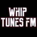 Whip Tunes Fm logo