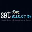Setselection logo