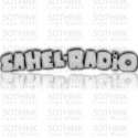 Sahel Radio logo