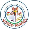 Coptic Voice Radio logo