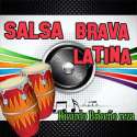 Salsa Brava Latina logo