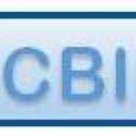 Cape Breton Internet Radio Cbir logo