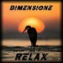 Radio Dimensione Relax logo