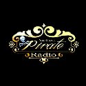 Northern Pirate Radio logo