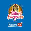 Antenne Mv Oldies Evergreens logo