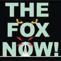The Fox Now logo
