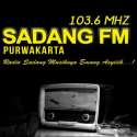 Radio Sadang Fm logo
