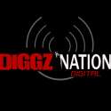 Diggz Nation Digital logo