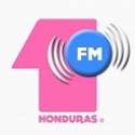1fm Hits logo