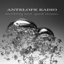 ANTELOPE RADIO logo