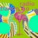 Radio Flamingo 80 logo