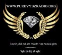 Pure Vybz Radio logo