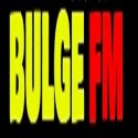 BULGE FM - Hawera's Hottest Music logo