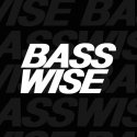 Basswise logo