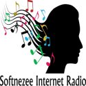 Softnezee logo