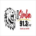 RADIO SIMBA 91.3 FM logo