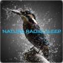 NATURE RADIO SLEEP logo