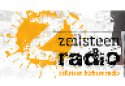 Zeilsteen Alternative Internet Radio logo