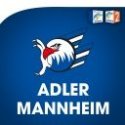 Radio Regenbogen Adler Mannheim logo