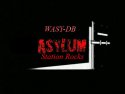 Asylum Station Rocks logo