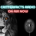 CRITTERFACTS RADIO logo