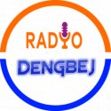 Radyo Dengbej logo