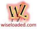 Wiseloaded Media logo