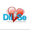 CHDS   Radio Dil Se logo